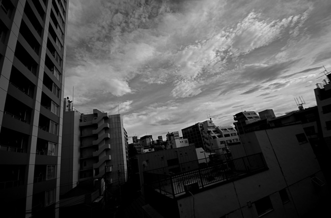 c0164274_1317628.jpg