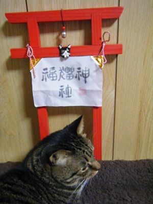 福猫神社の鳥居。_f0148582_204627.jpg