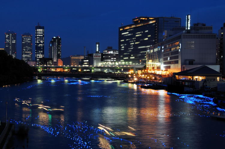 e0169286_2044840.jpg