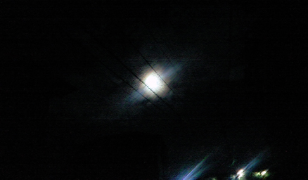 e0034994_2521167.jpg