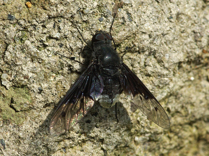 f0204094_11411124.jpg