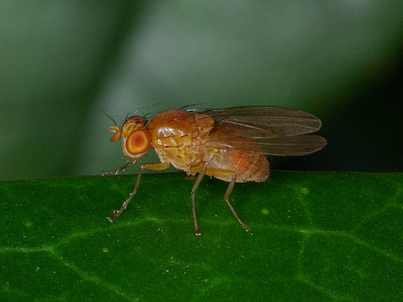 f0204094_1146539.jpg