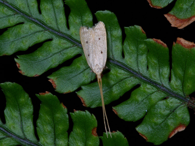 f0204094_1155238.jpg
