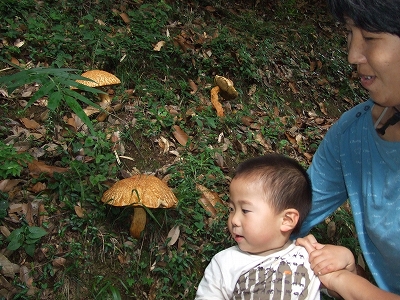 e0087595_22415090.jpg