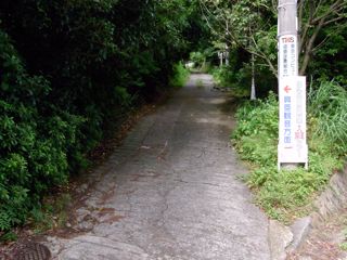 d0010496_1159897.jpg