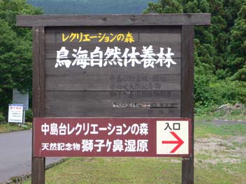 e0140496_22274635.jpg