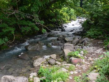 e0140496_22312722.jpg