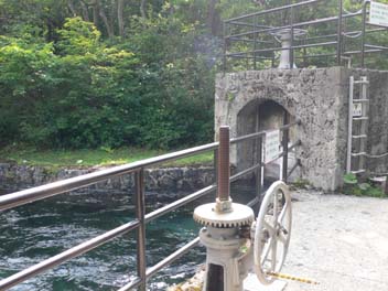 e0140496_22401365.jpg