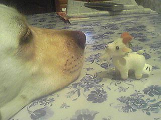d0091700_21565482.jpg
