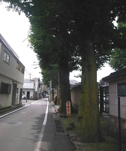 e0043700_20301921.jpg