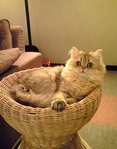 c0181601_0545938.jpg