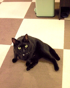c0181601_2116984.jpg