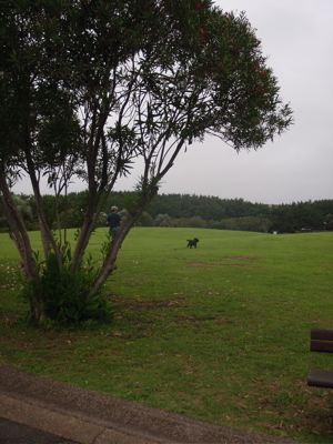 b0161707_02842.jpg