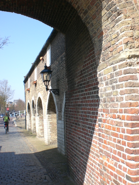 e0176809_2234494.jpg
