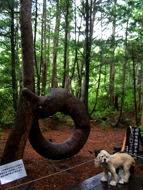 ひめポチ、ふっかつ。_b0067012_18365883.jpg