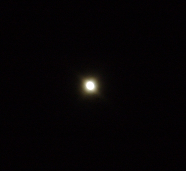e0049015_11481925.jpg