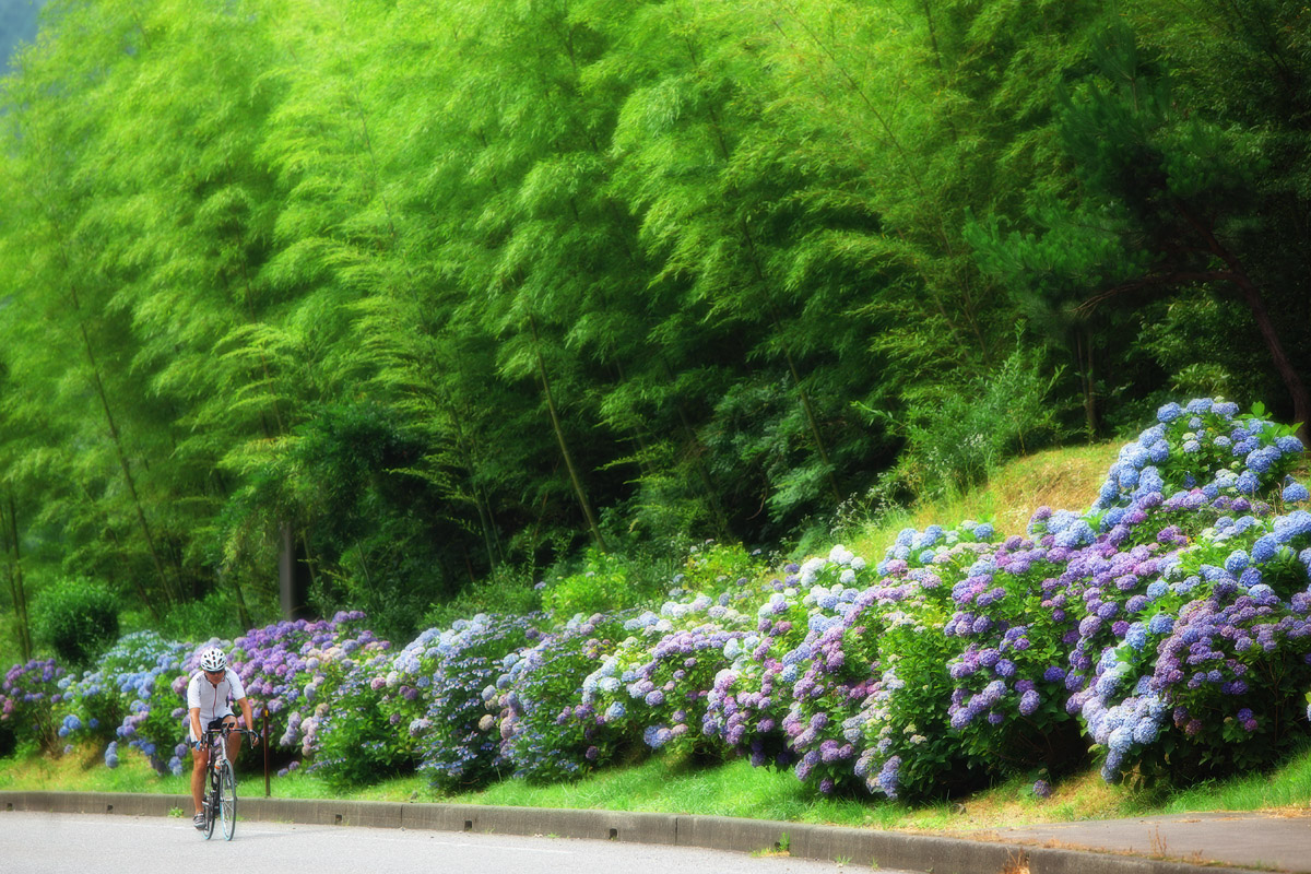 c0115616_1833928.jpg