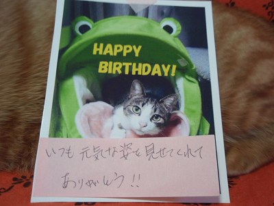 2歳の誕生日プレゼント(前編)_c0145016_12173641.jpg