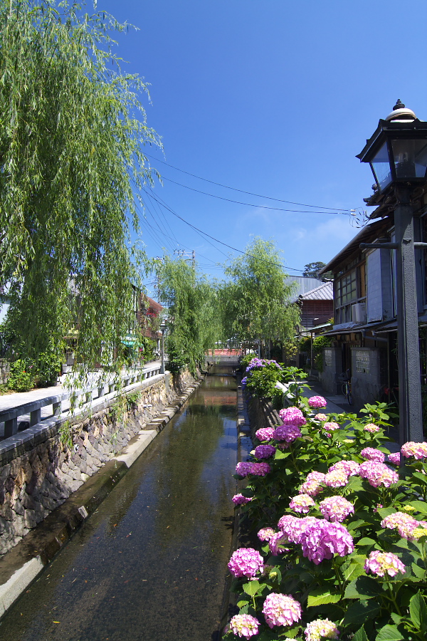 c0153616_2275997.jpg