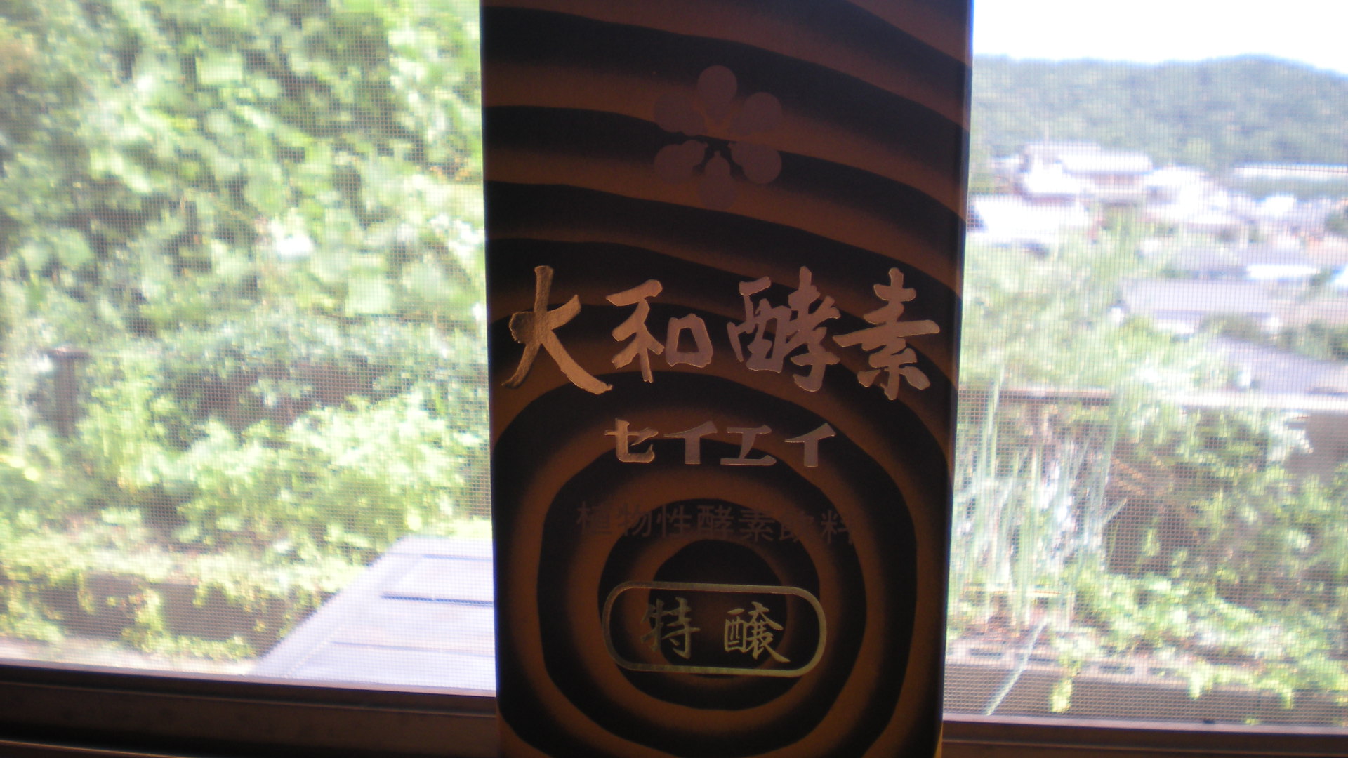 毛細血管_a0125419_94009.jpg