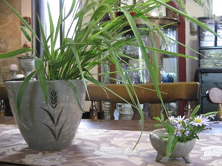 f0139520_14313836.jpg