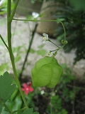 f0139520_1436421.jpg