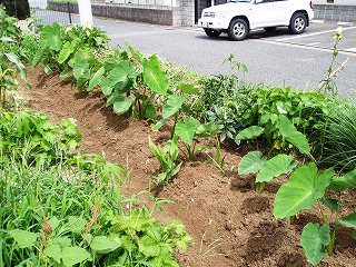 b0008825_21461036.jpg