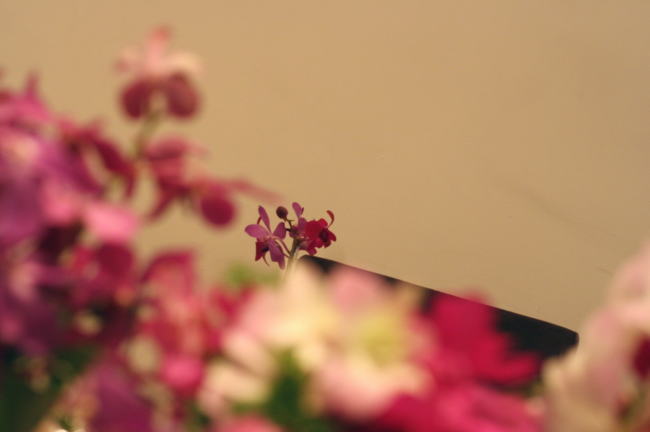 アジアンリゾート　紫の蘭の花で　ヴィラデマリアージュ日比谷パレス様へ_a0042928_18195936.jpg
