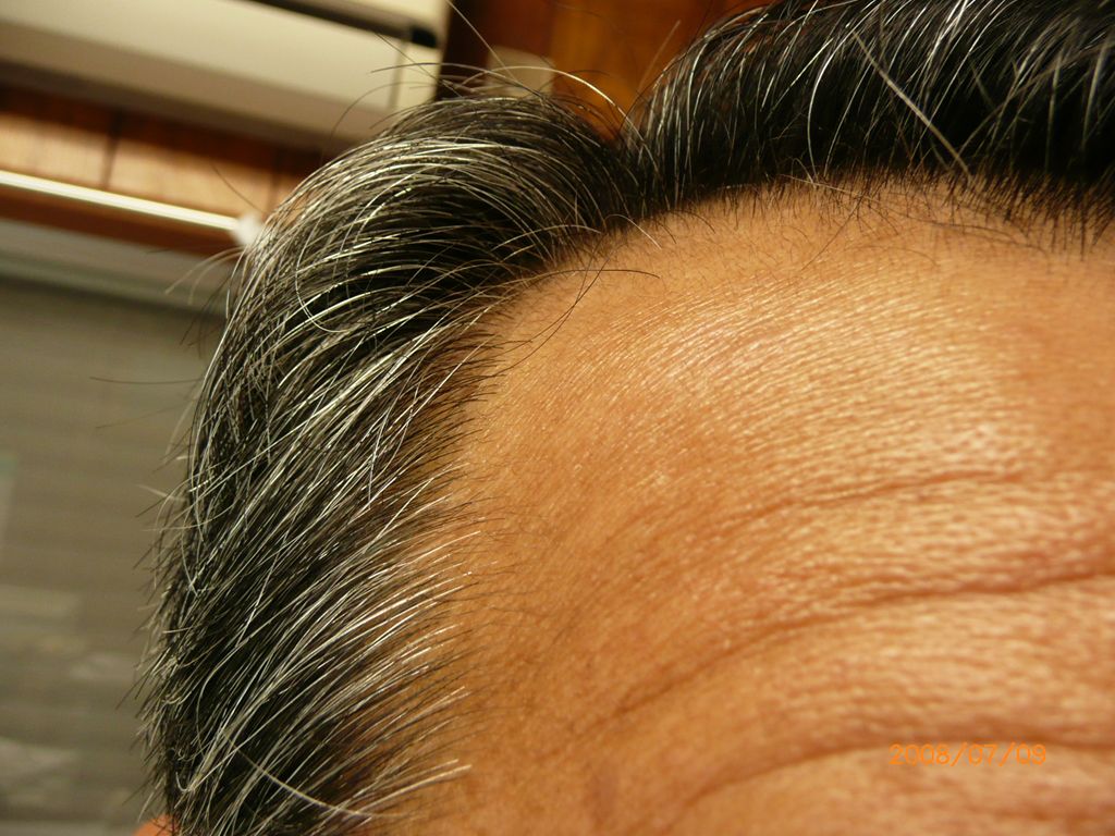 a0071641_911347.jpg