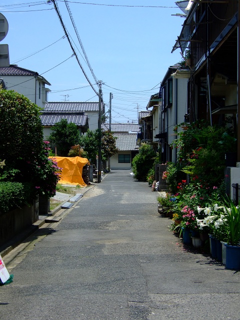 江波本町とおさんきつね_f0029441_11254623.jpg