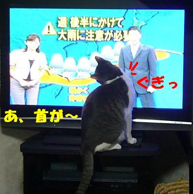 差し棒大好き_f0002743_13535572.jpg