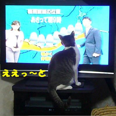 差し棒大好き_f0002743_1353777.jpg