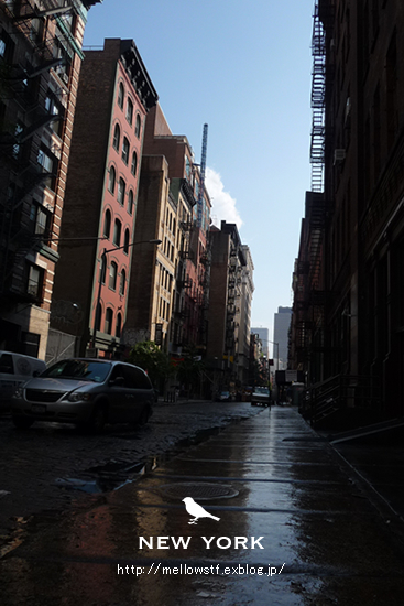 NY&CT 旅行記 【NY街角写真とお花の写真】_d0124248_12293725.jpg