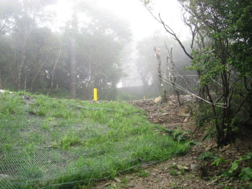 c0179351_1831490.jpg