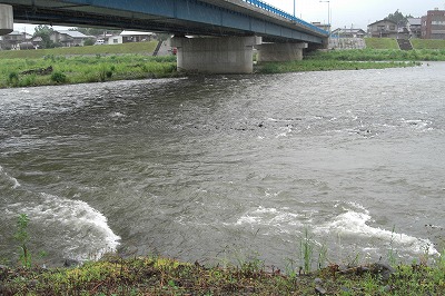 魚野川の流れ_a0084753_14113559.jpg