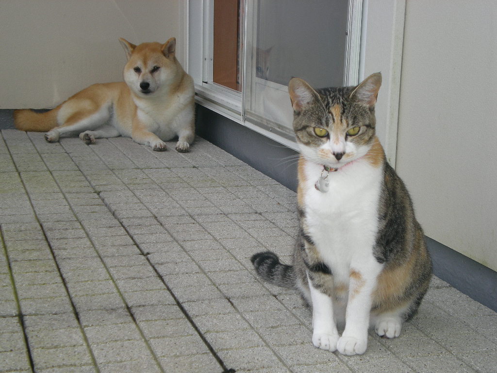 7月9日(木)ブローニュの森!_f0060461_15455111.jpg