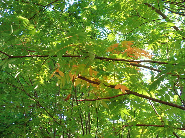 f0132565_8455336.jpg