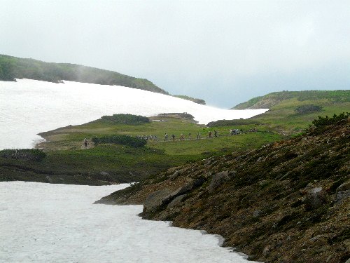 d0084473_20282452.jpg