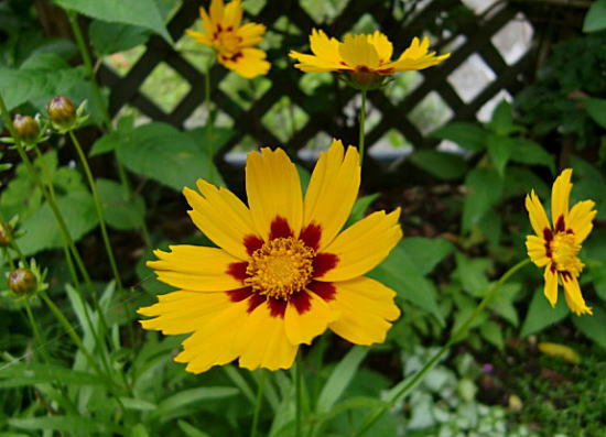 f0059473_2259670.jpg