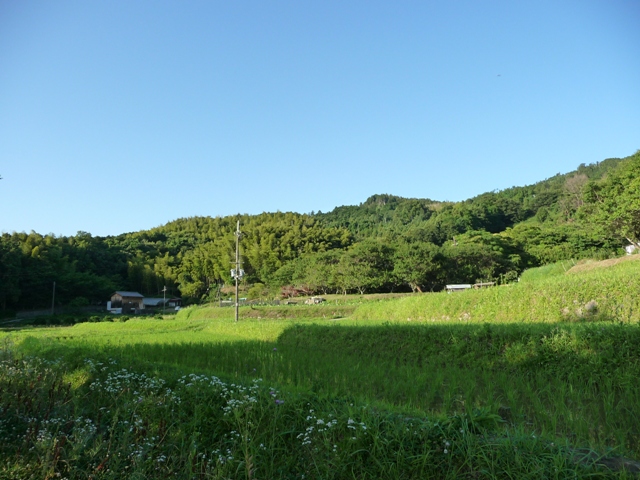 d0042474_0345728.jpg
