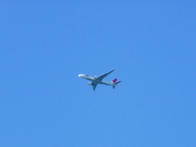 d0042474_19273394.jpg