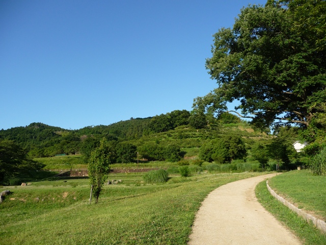 d0042474_19284216.jpg