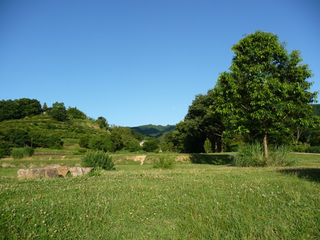 d0042474_19342682.jpg
