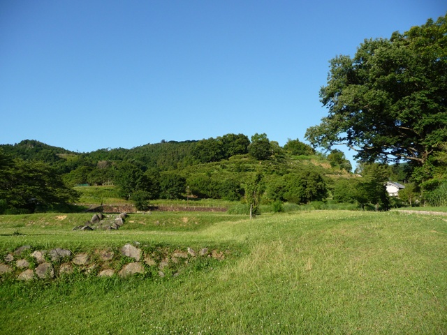 d0042474_19391439.jpg