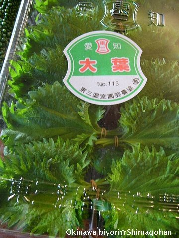 c0139375_1331186.jpg