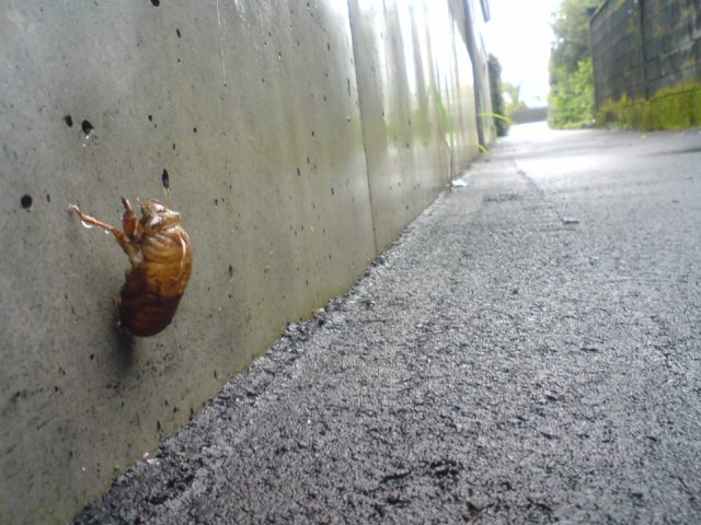 a0040876_21231372.jpg