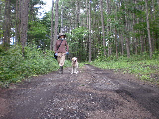f0052277_2495.jpg