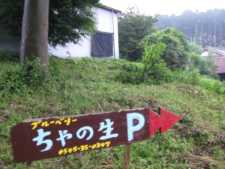f0138278_21373054.jpg