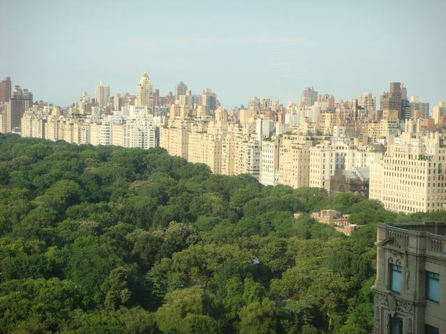 d0100880_9495327.jpg