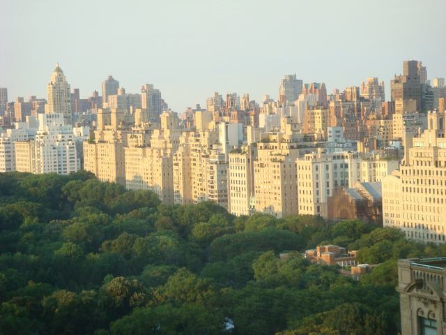 d0100880_9502881.jpg